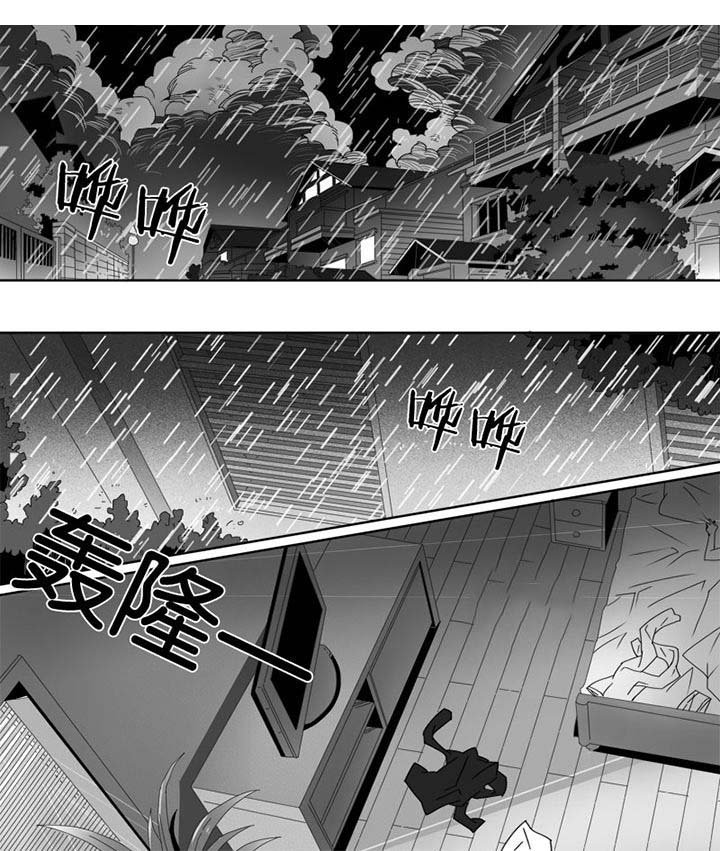 第15章：