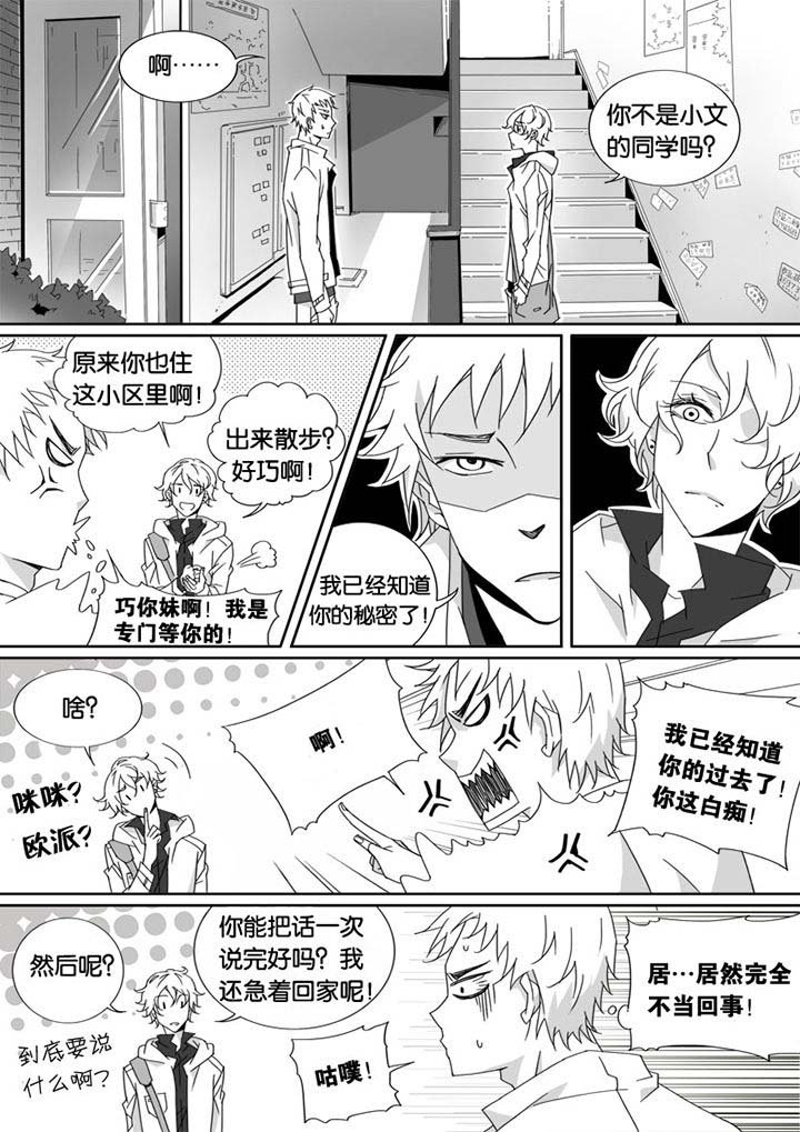 第4章：