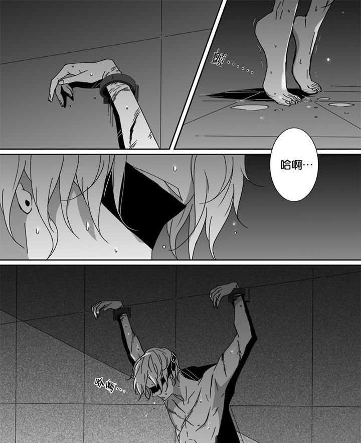 第50章：
