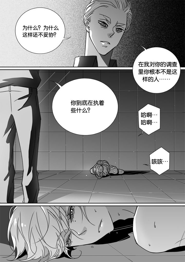 第52章：
