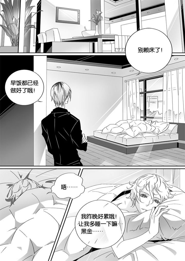 第6章：