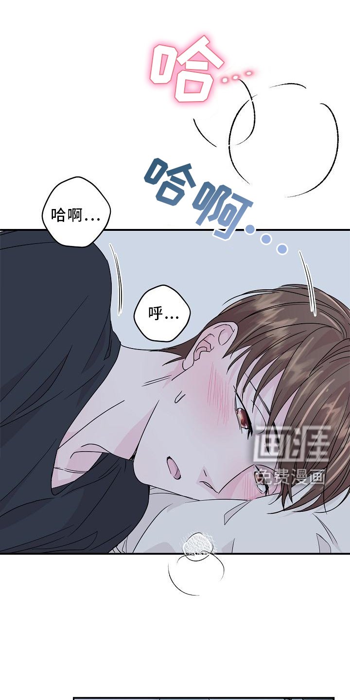 第16章：小狗