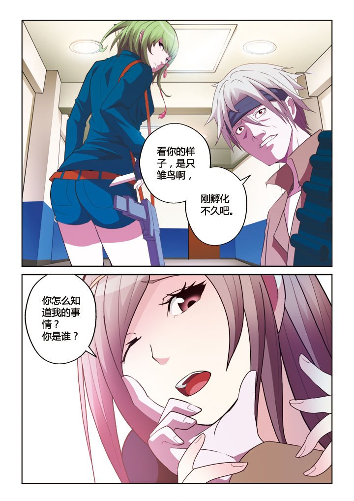 第12章：