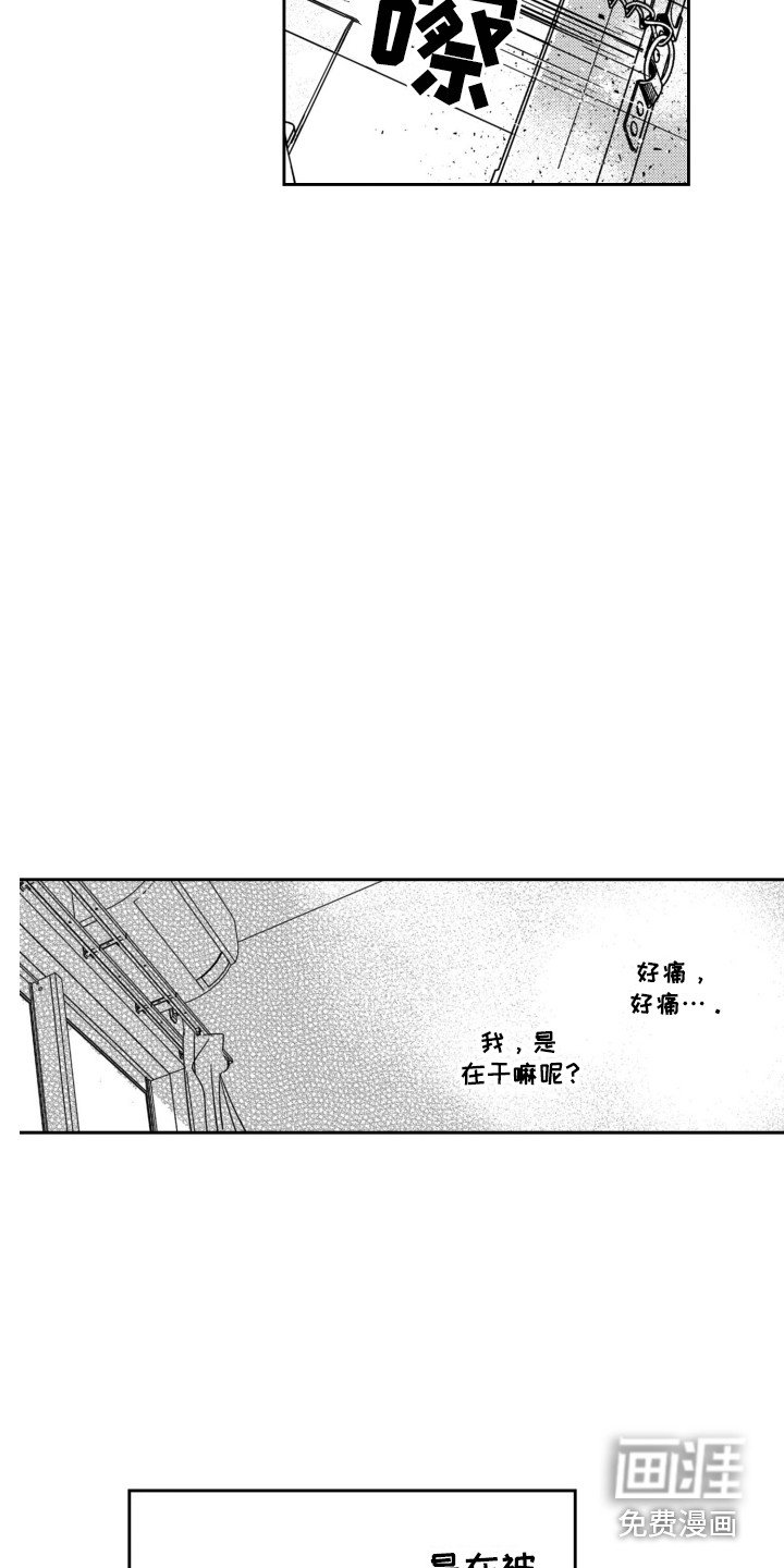 第15章：入侵者