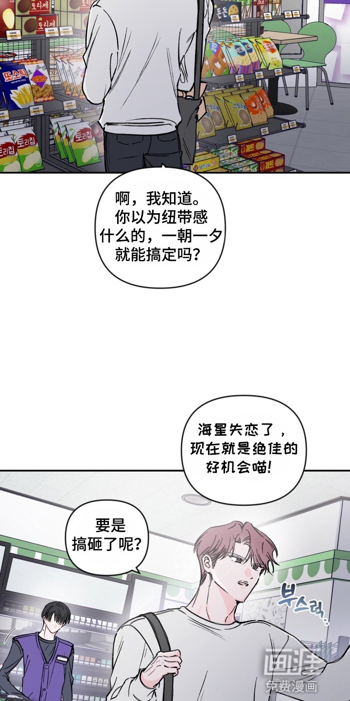 第10章：一见钟情
