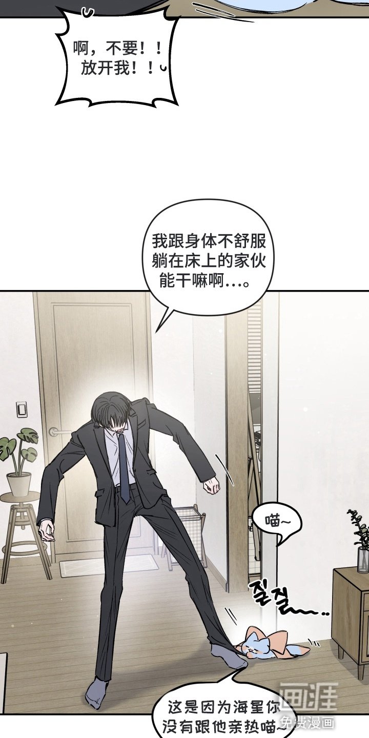 第11章：咨询