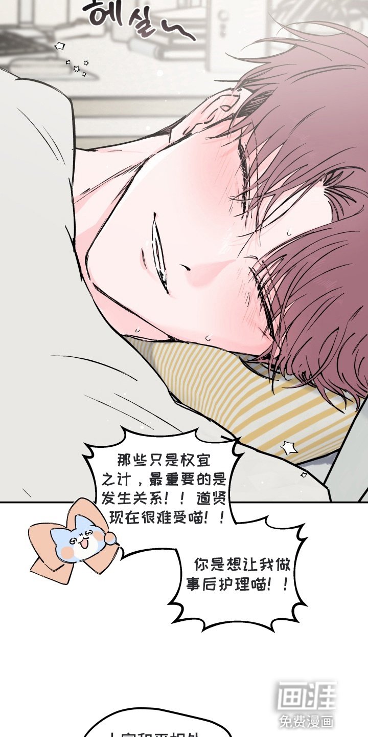 第11章：咨询