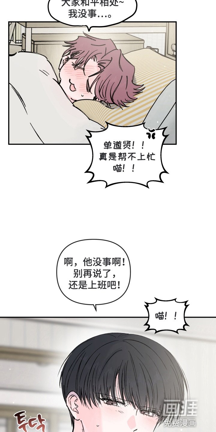 第11章：咨询