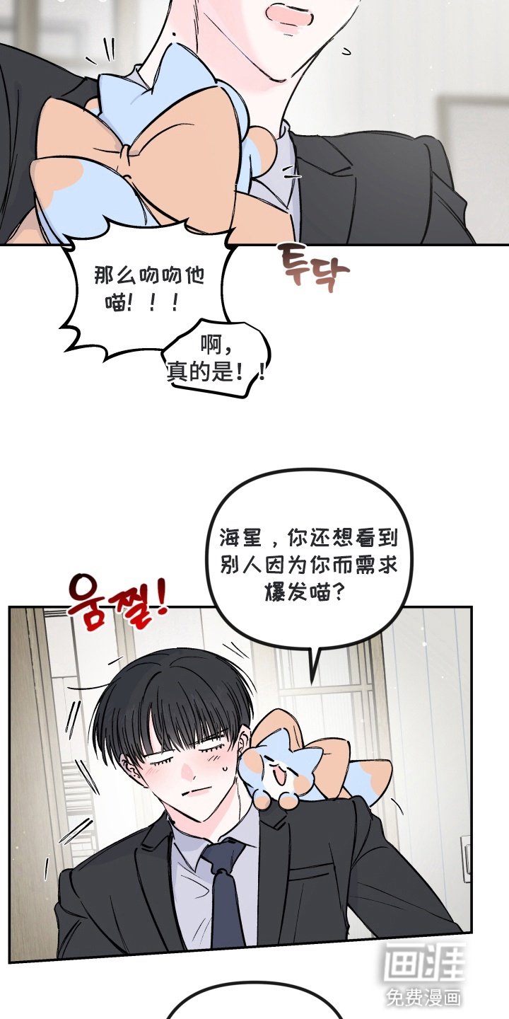第11章：咨询