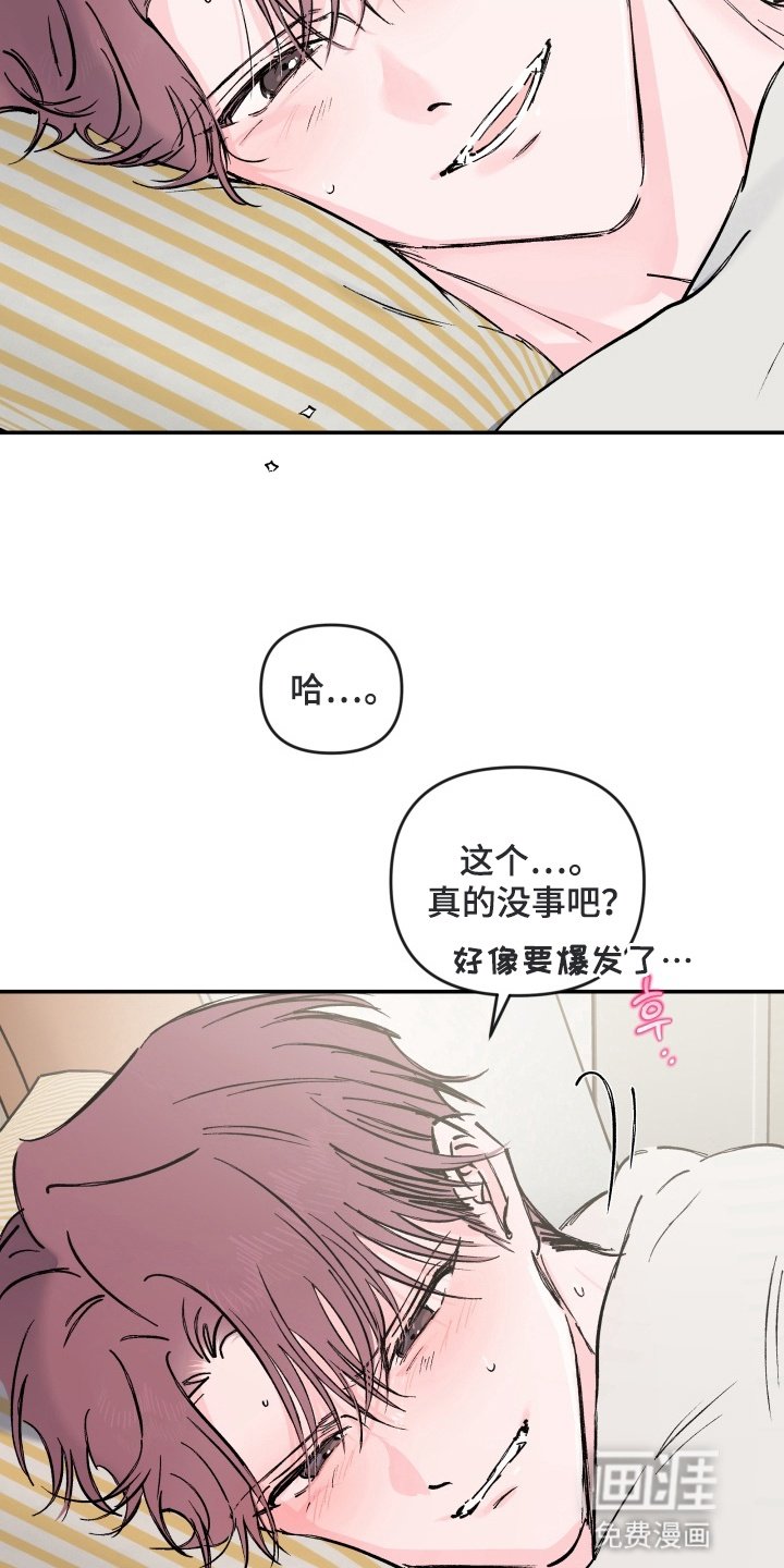 第11章：咨询