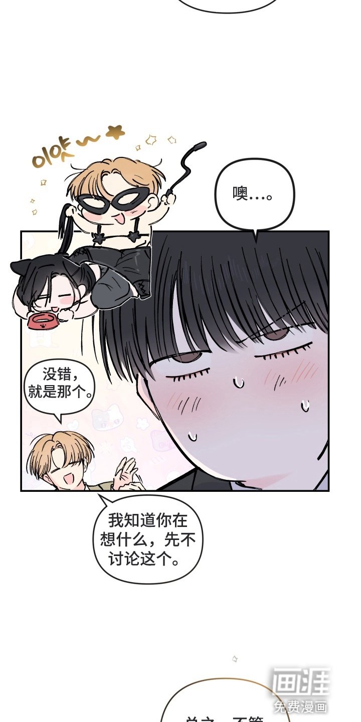 第11章：咨询