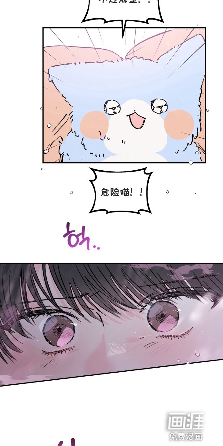 第13章：危机