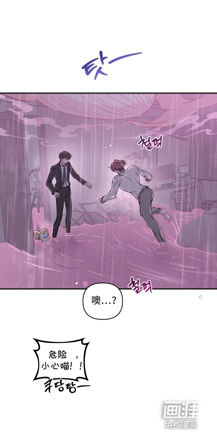 第13章：危机