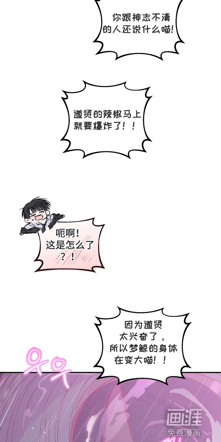 第13章：危机