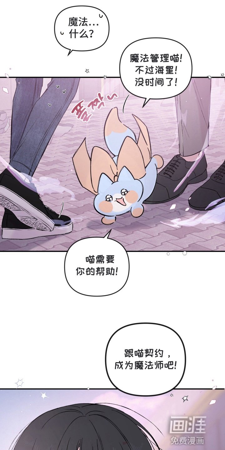 第4章：魔法少男