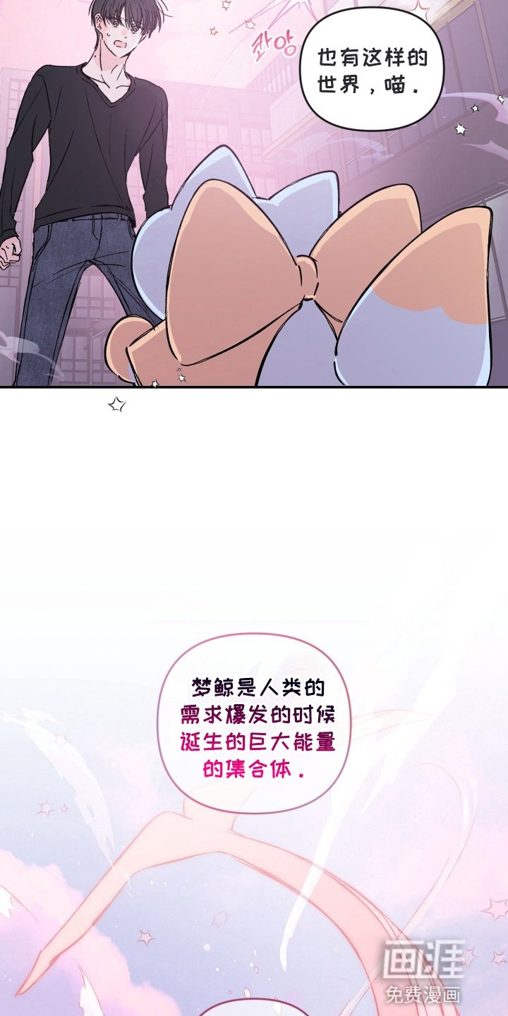 第4章：魔法少男
