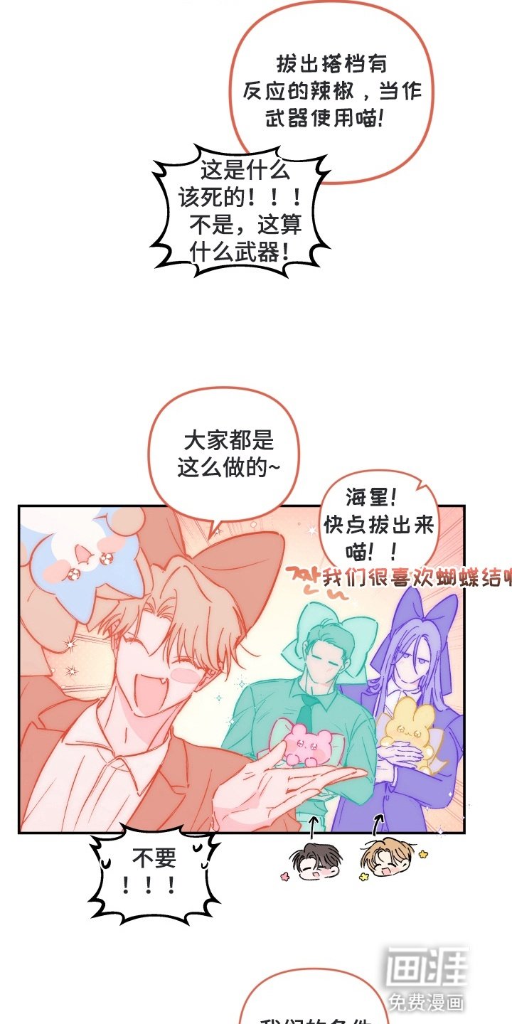 第4章：魔法少男