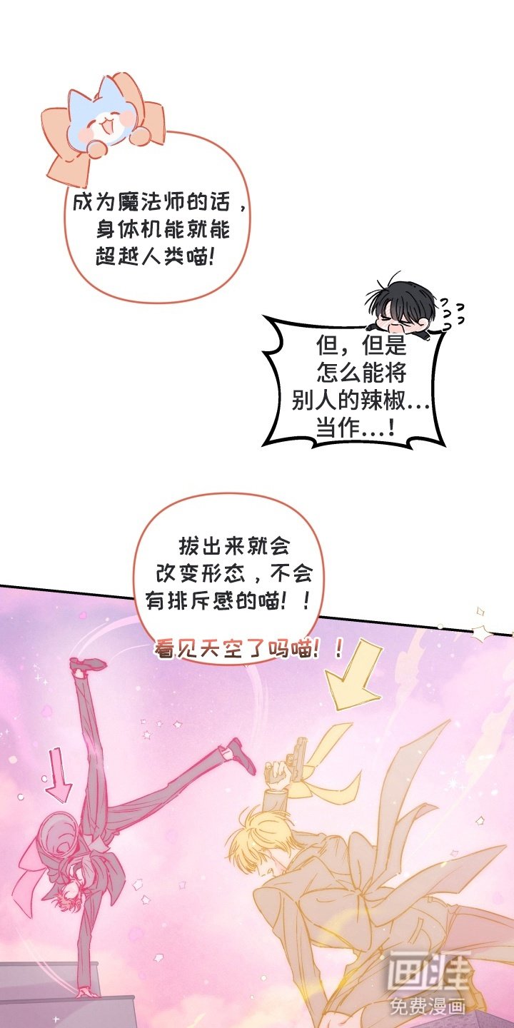 第4章：魔法少男