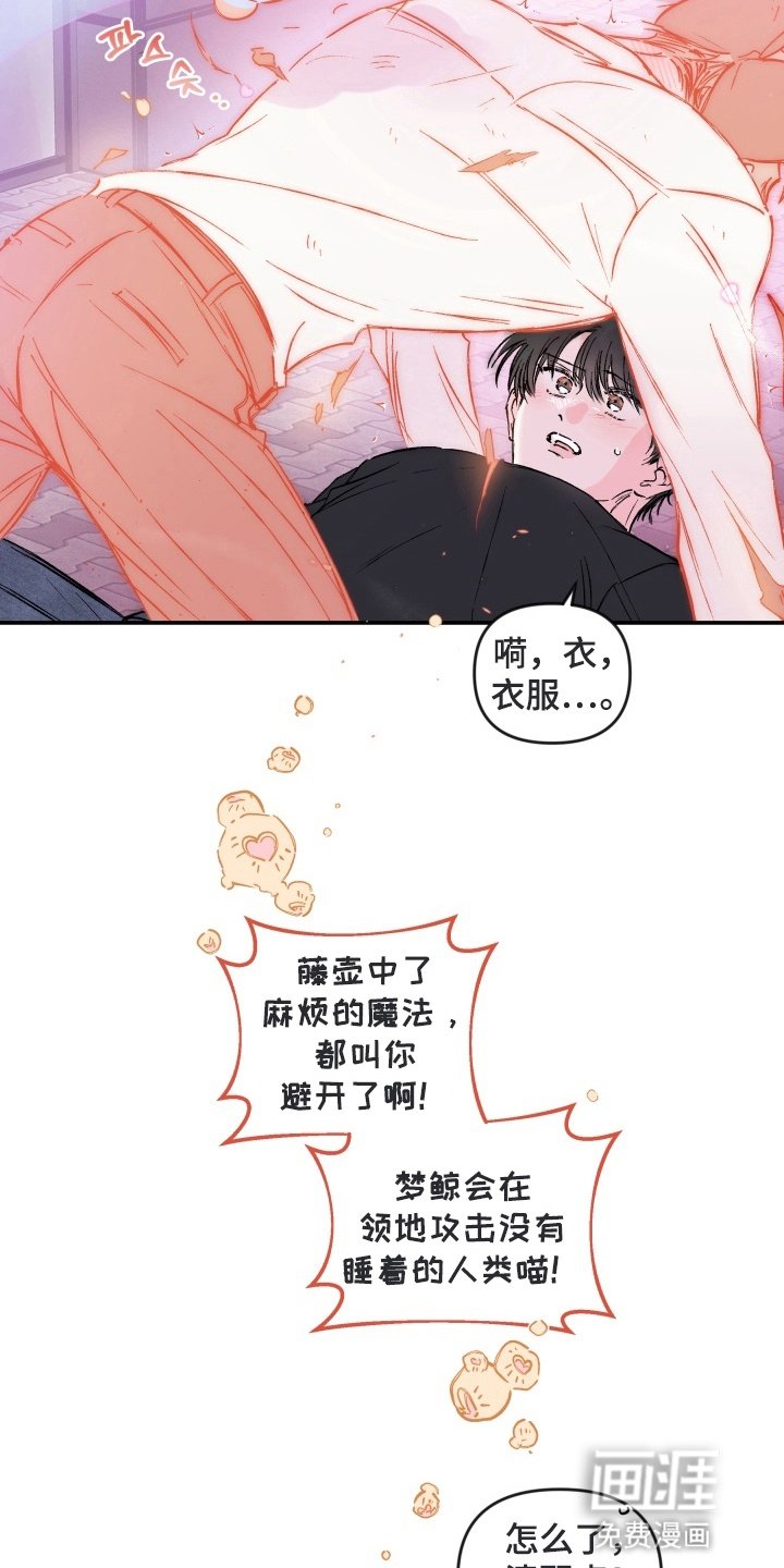 第4章：魔法少男