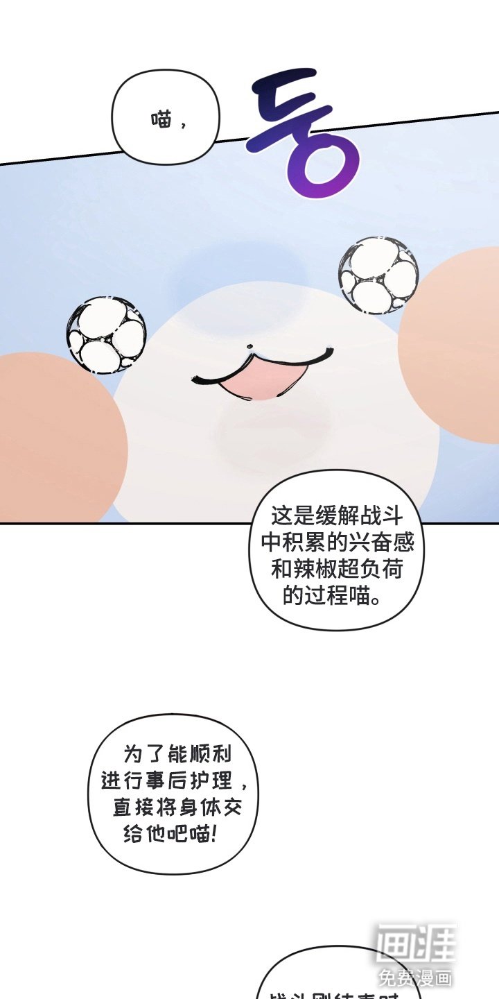 第5章：清理结束