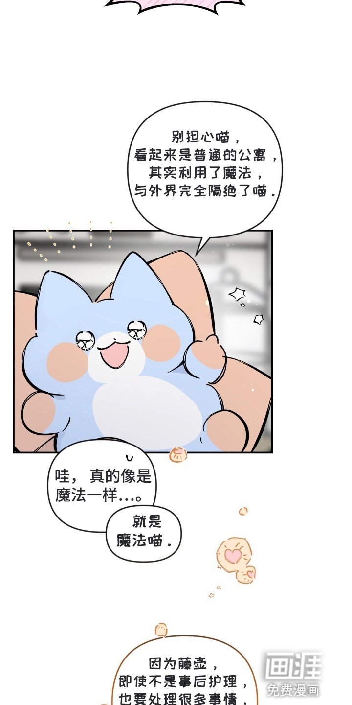 第6章：同居