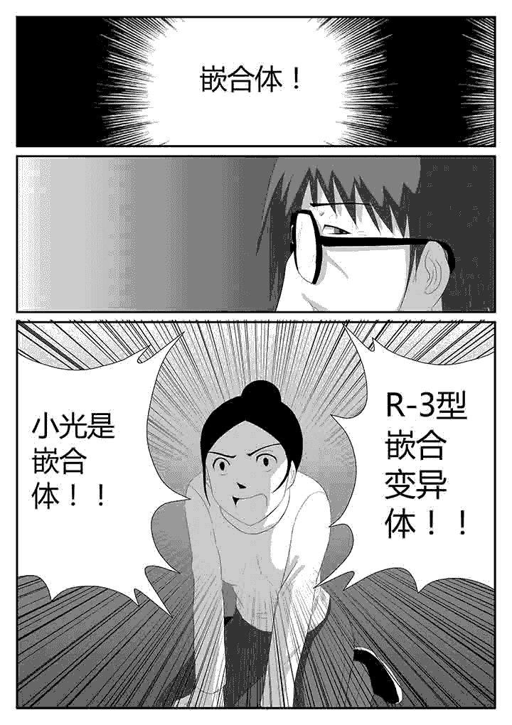 第108章：嵌合体