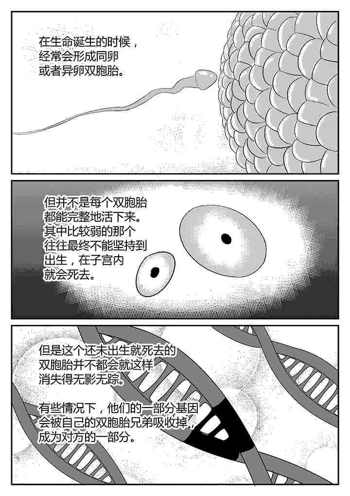 第111章：变化的双子