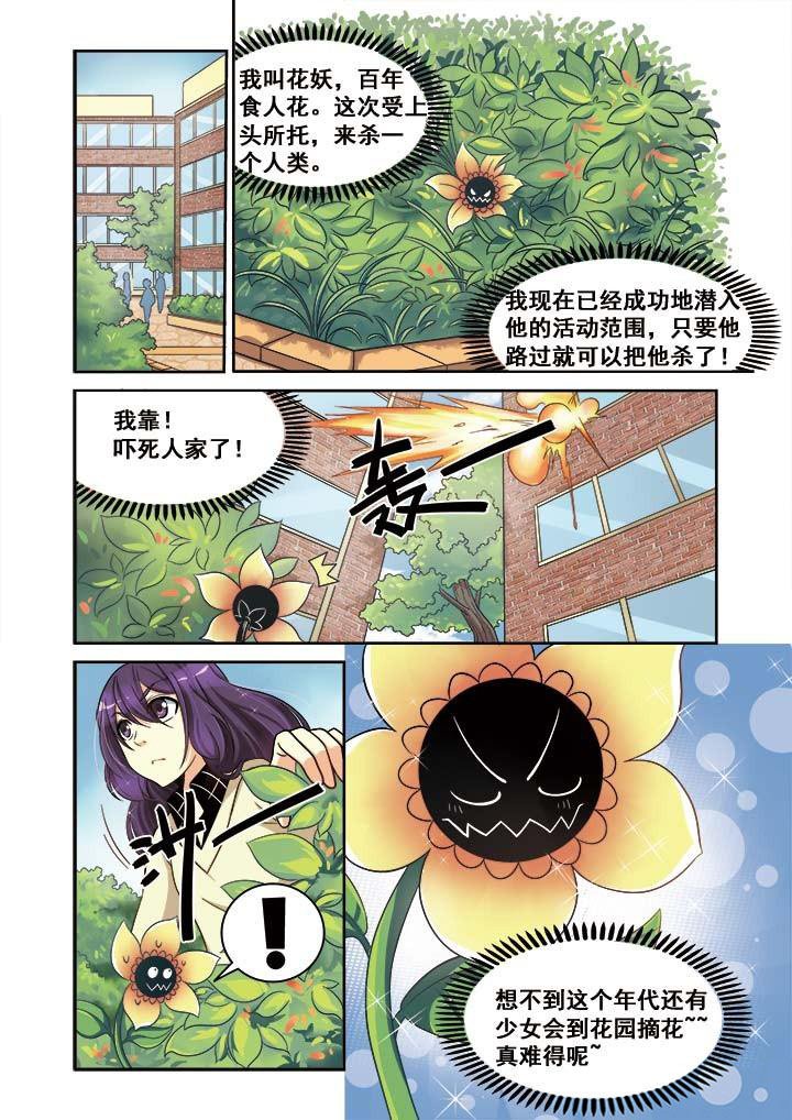 第11章：
