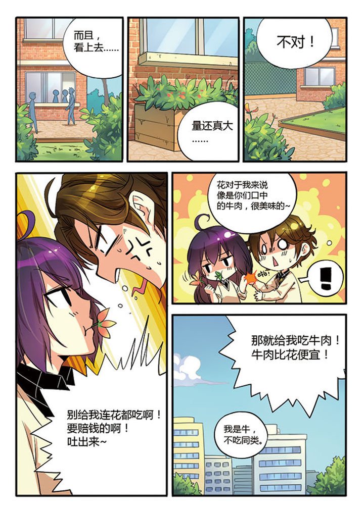 第3章：
