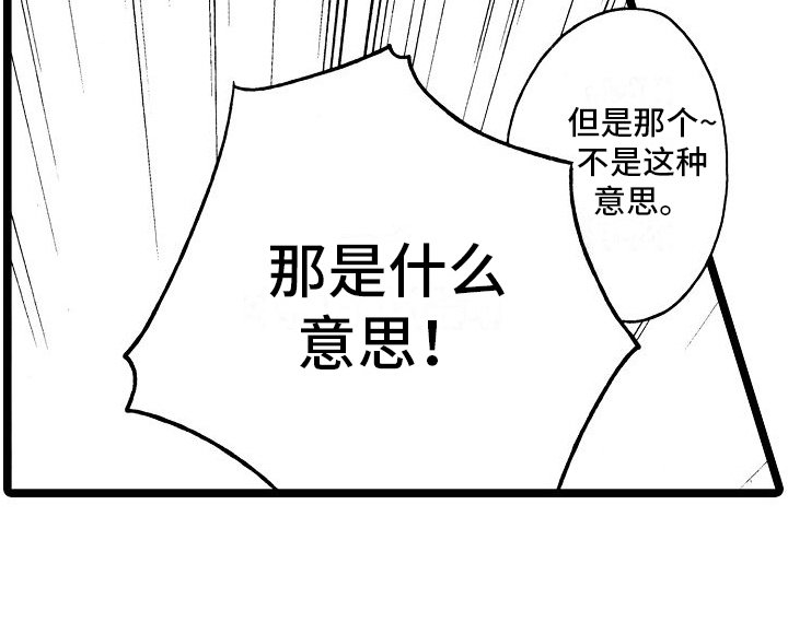第19章：想法