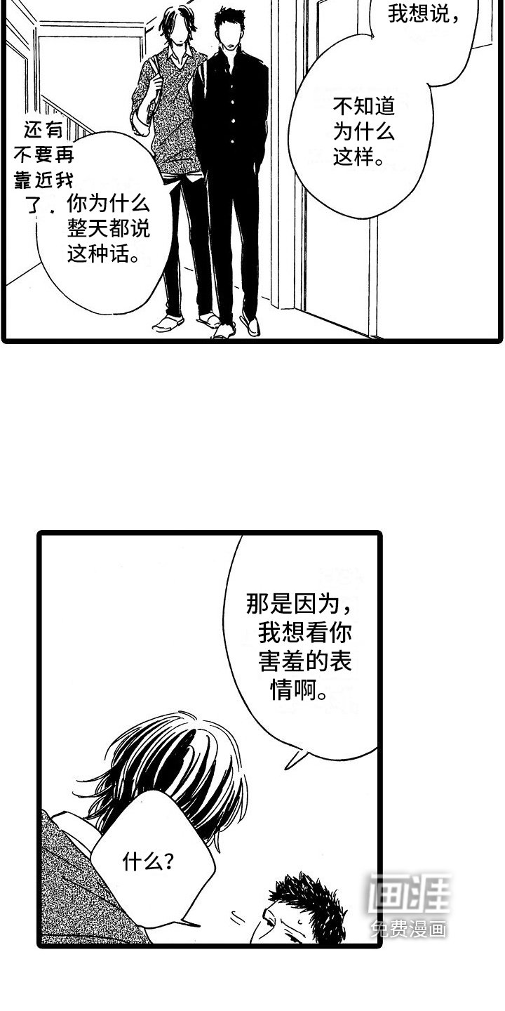 第22章：观察