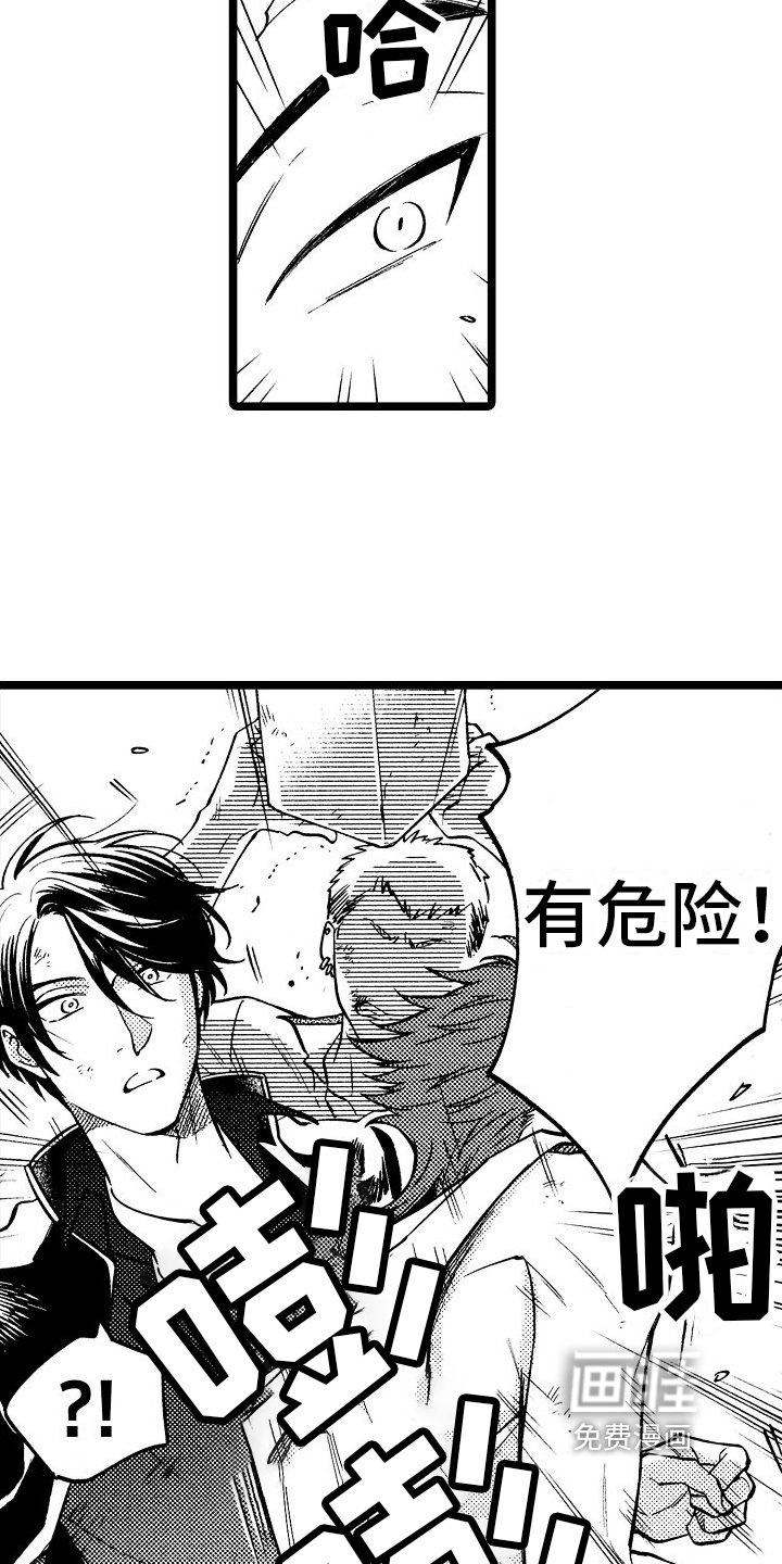 第5章：带回家