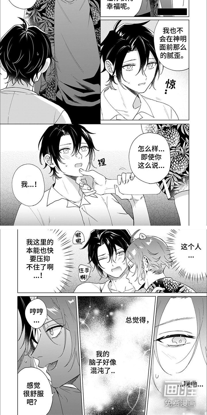 第13章：试探