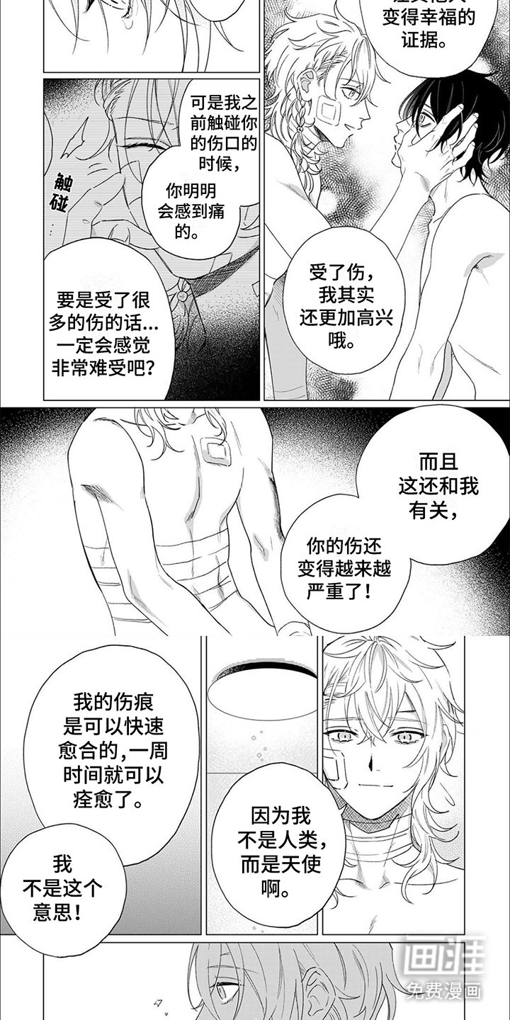 第6章：伤口
