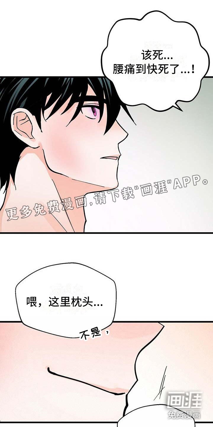 第17章：像梦一样