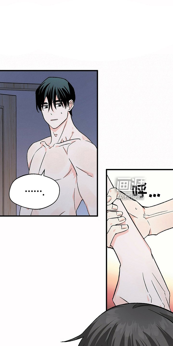 第23章：经纪人