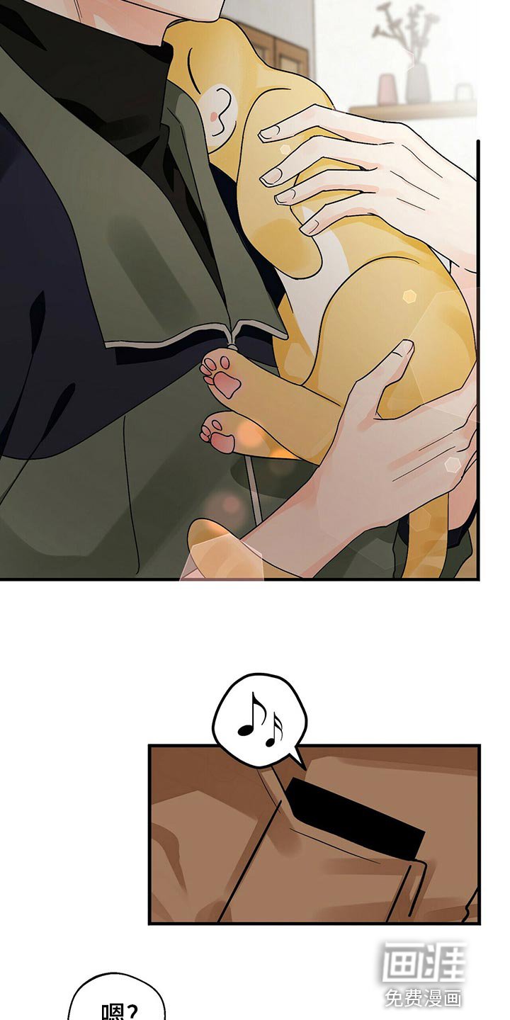 第40章：关心