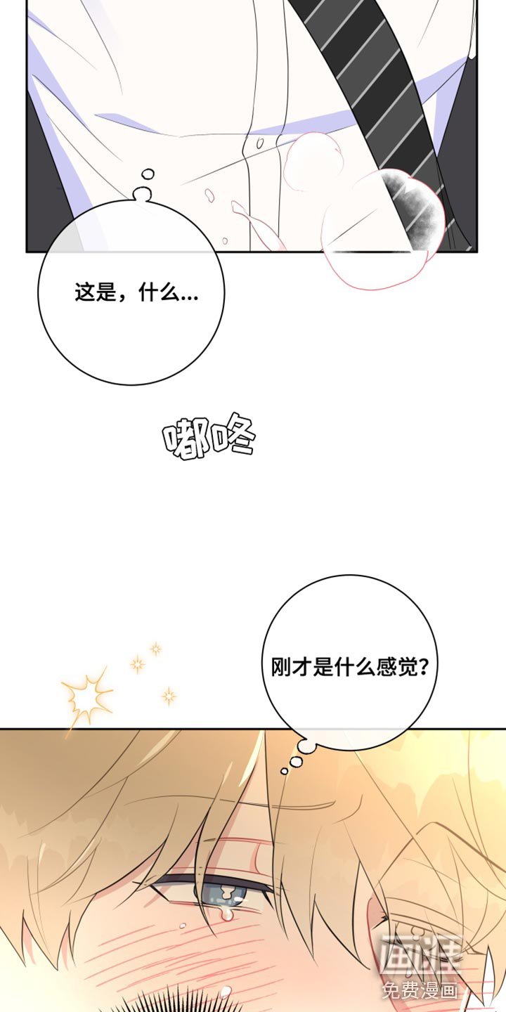 第17章：异常现象
