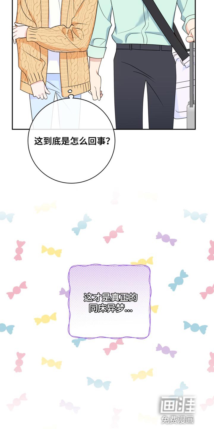 第19章：真正的同床异梦