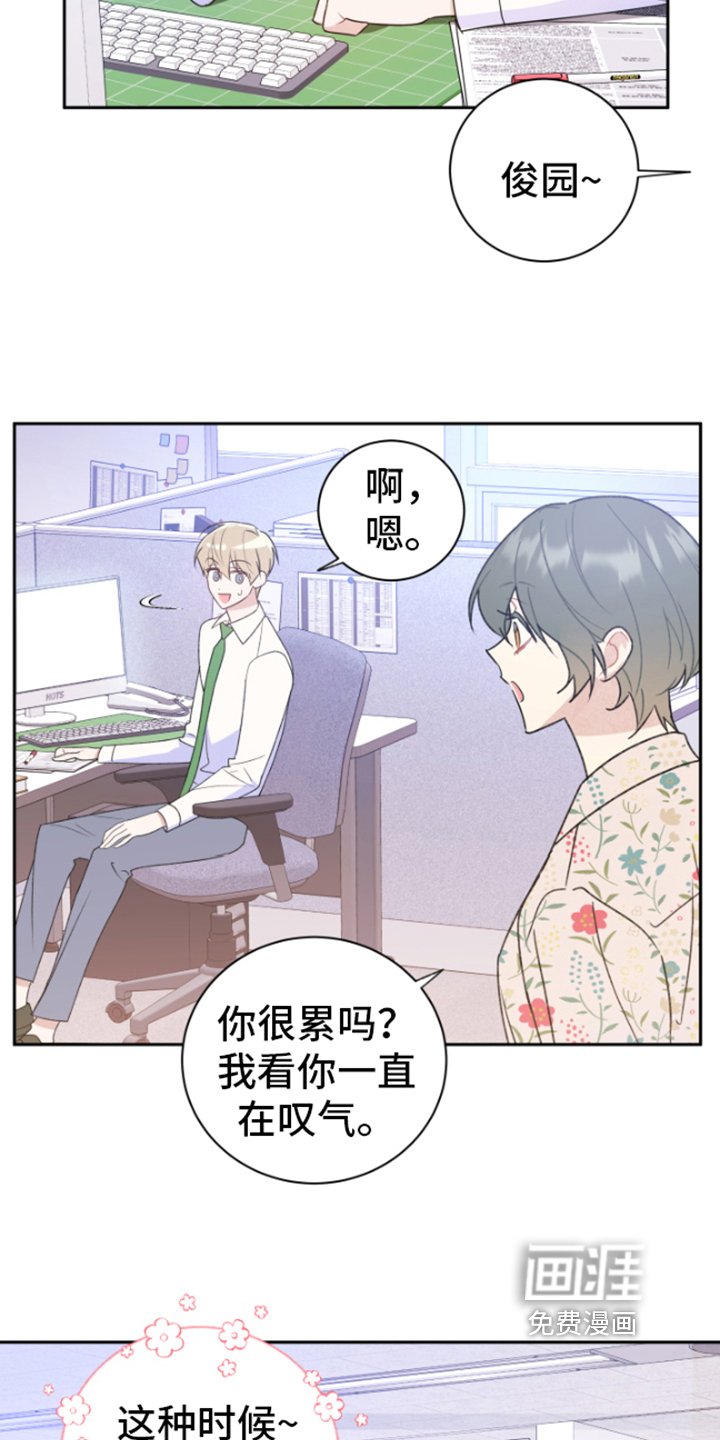 第4章：分析