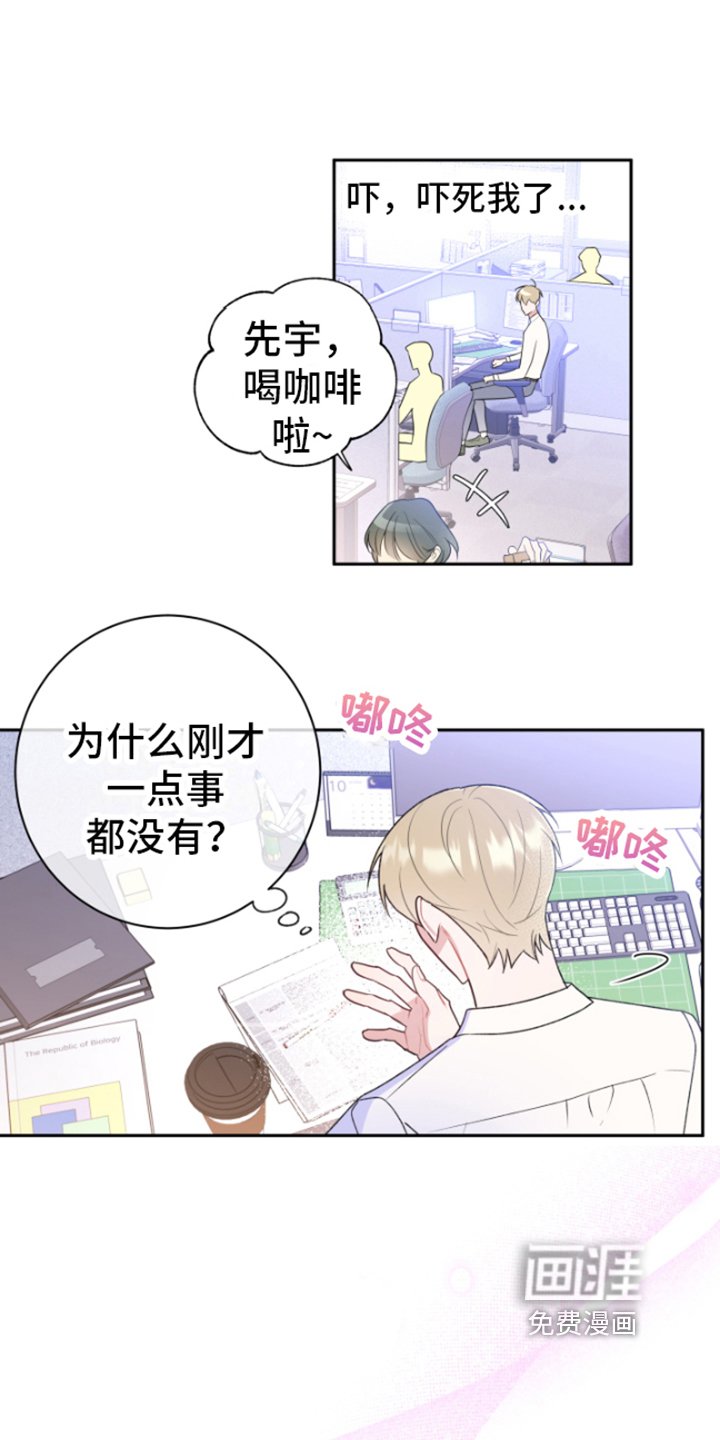 第4章：分析