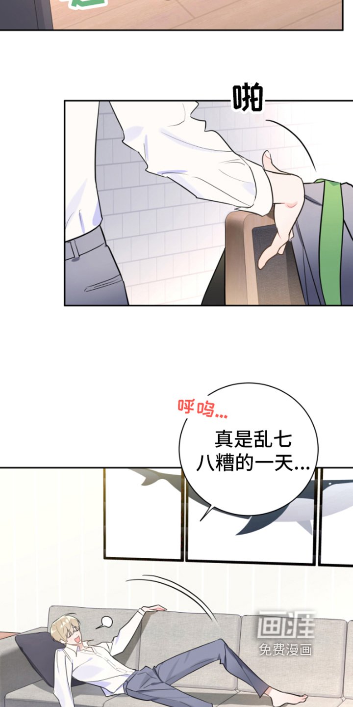 第4章：分析