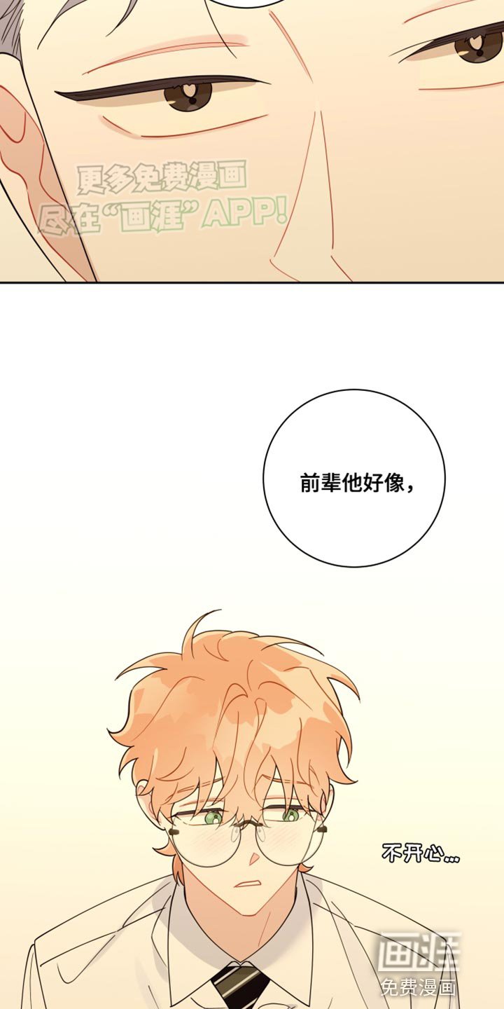 第44章：可惜