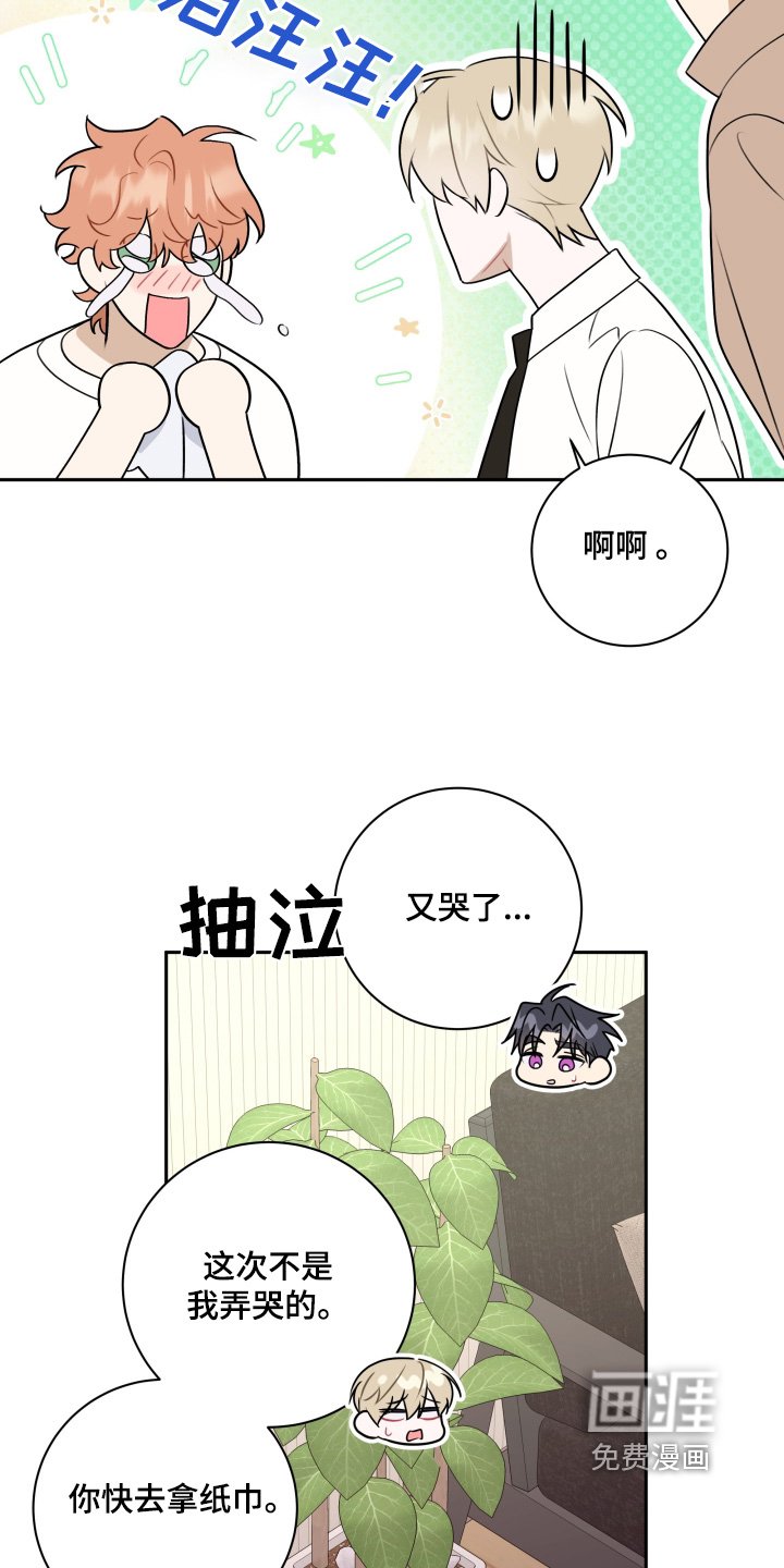 第48章：【第二季】要怎么说
