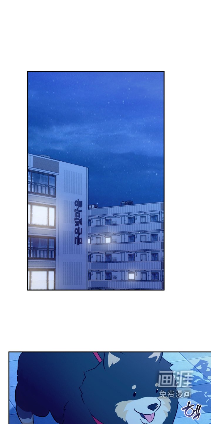 第69章：【第二季】交往吧