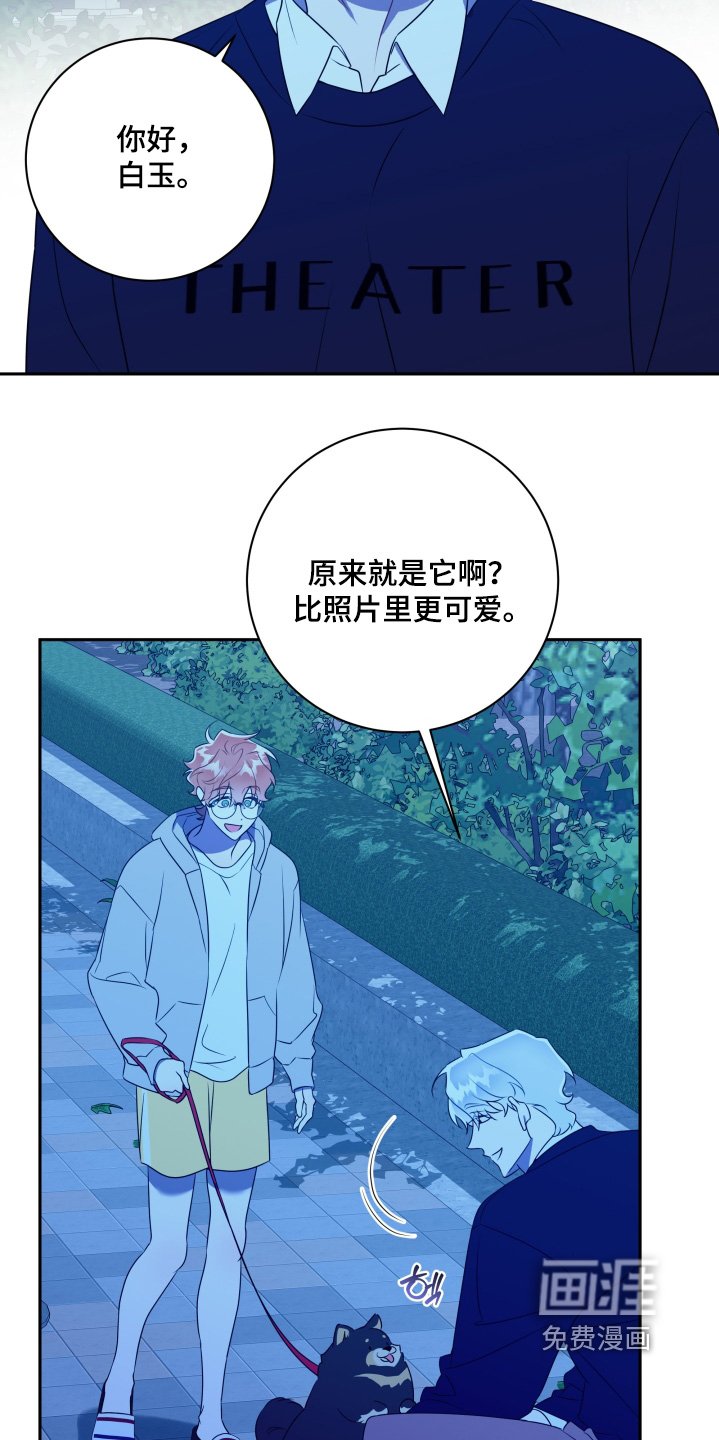 第69章：【第二季】交往吧