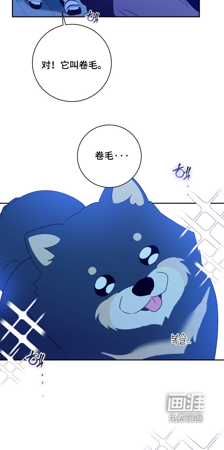 第69章：【第二季】交往吧