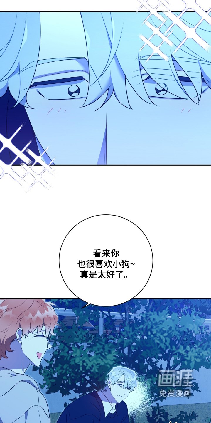第69章：【第二季】交往吧