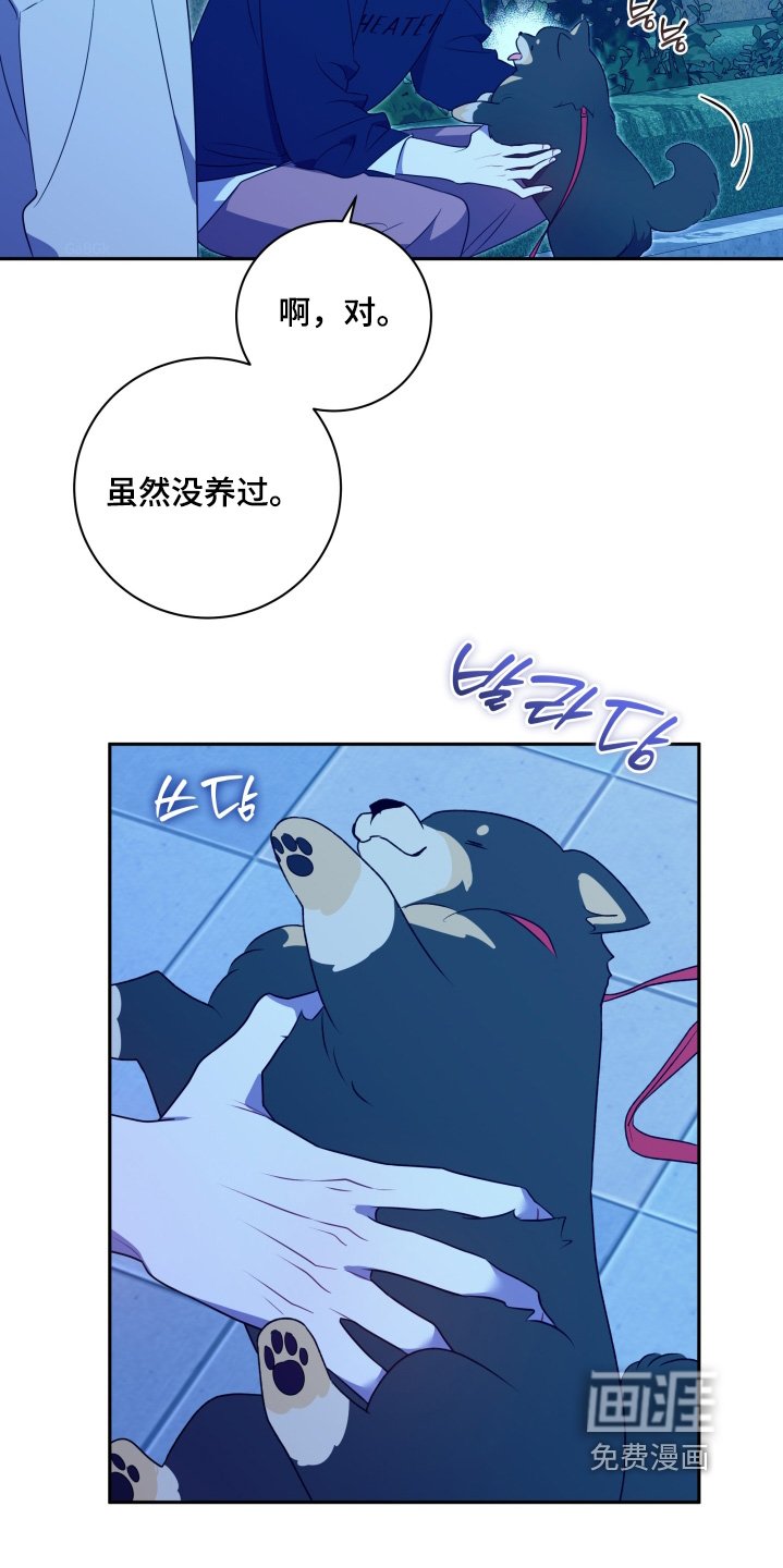 第69章：【第二季】交往吧