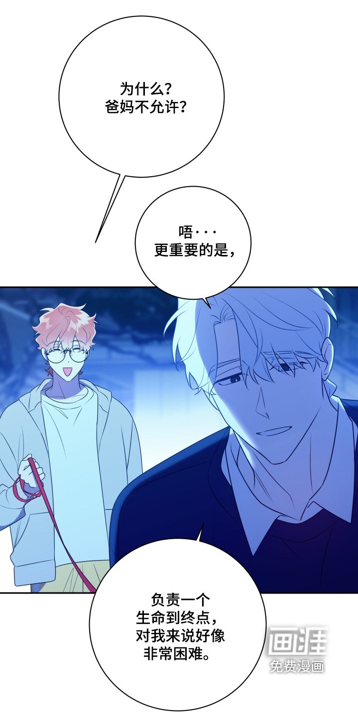 第69章：【第二季】交往吧
